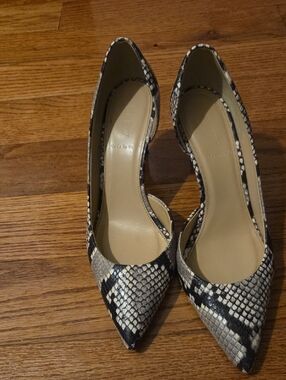 J. Crew Snake-Print Pointed Toe Pumps in Black & Cream